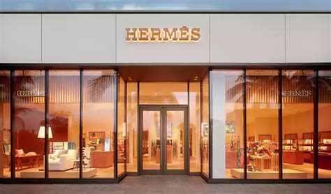 hermes vleugels|Hermes online shopping usa.